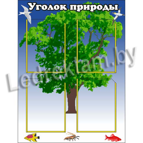 В какое время нельзя шуметь в выходные дни