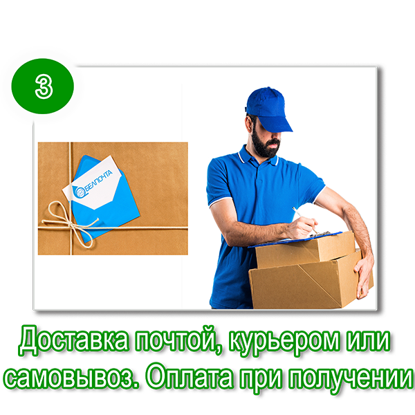 Доставка почтой или курьером Доставка почтой или курьером