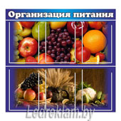 Стенд Организация питания