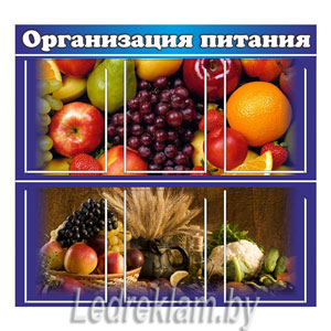 Стенд Организация питания